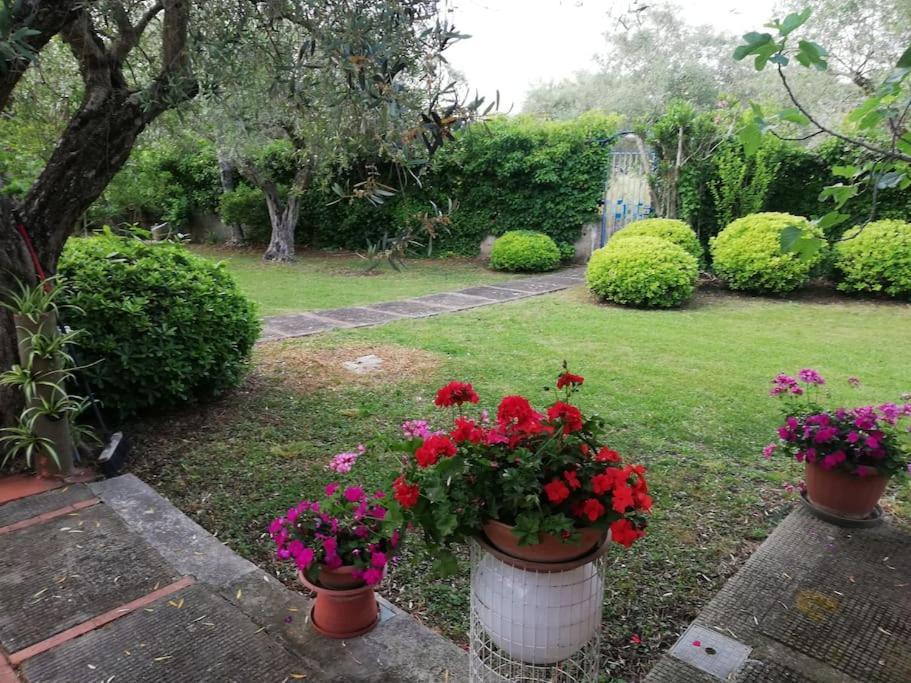 Villa Brezza Capaccio Exterior foto